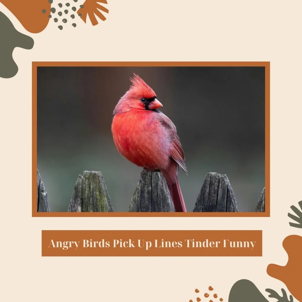 Angry Birds Pick Up Lines Tinder Funny