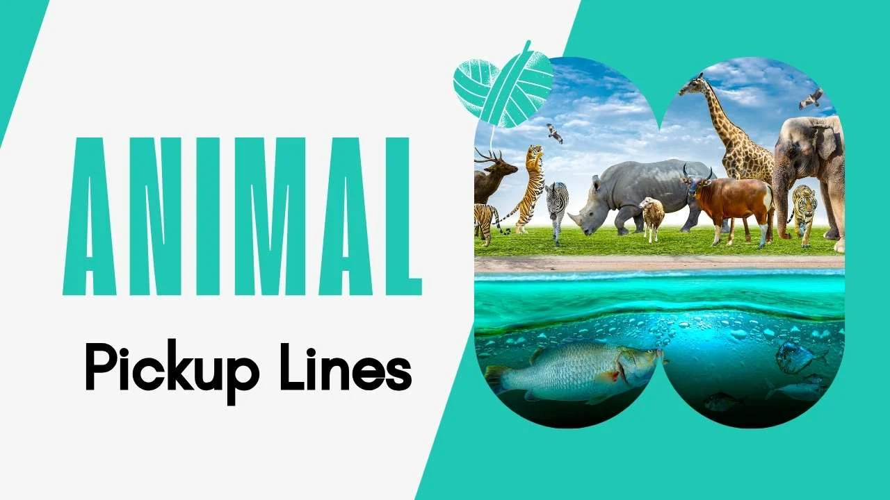 Animal Pick Up Lines