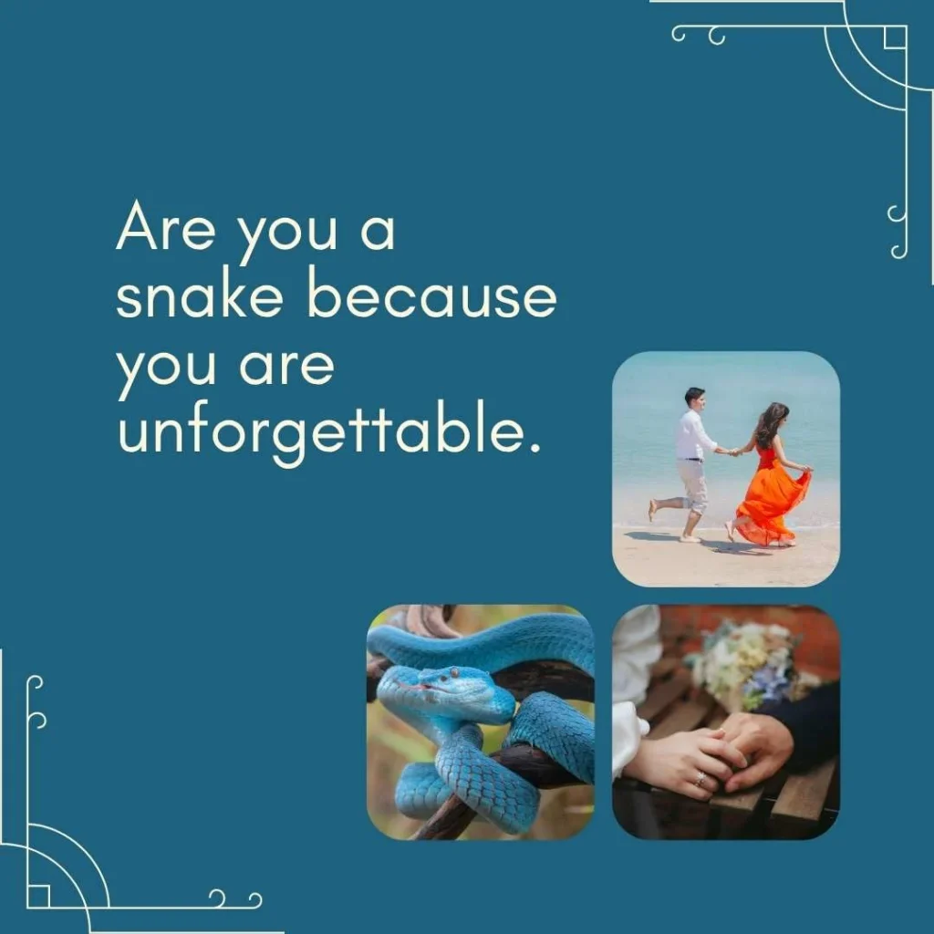 Best Snake Pick Up Lines