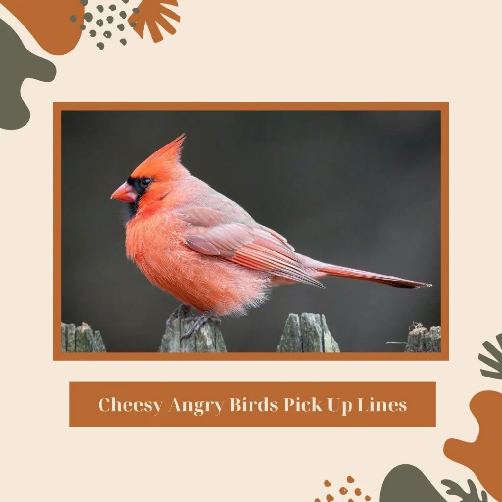 Cheesy Angry Birds Pick Up Lines