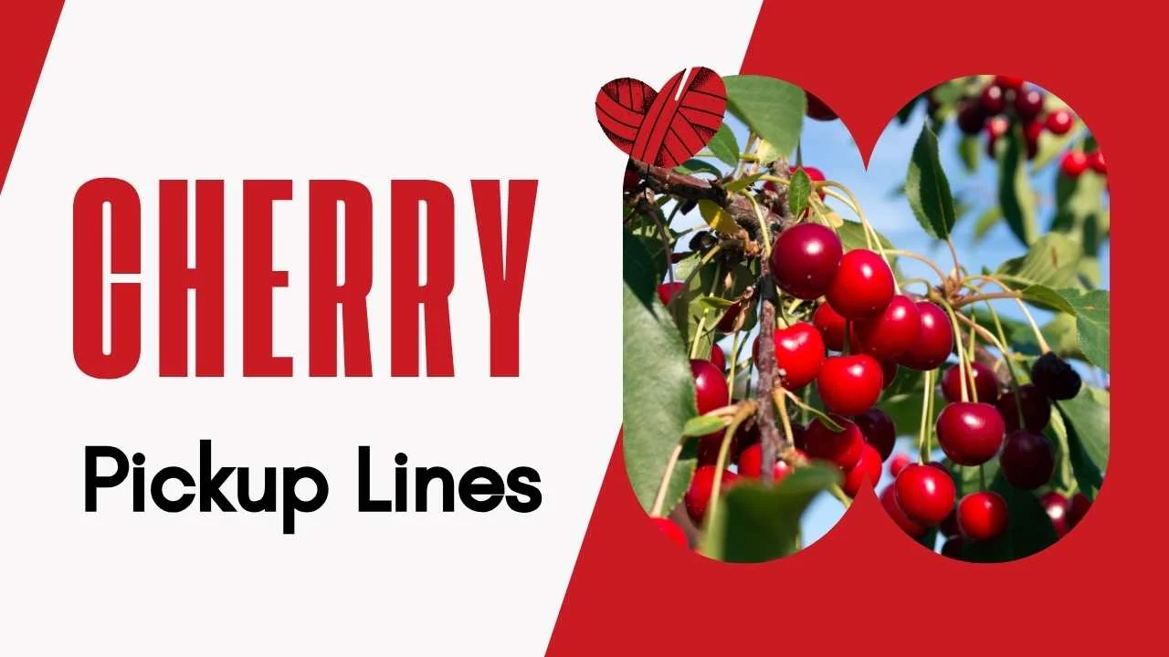 Cherry Pick Up Lines