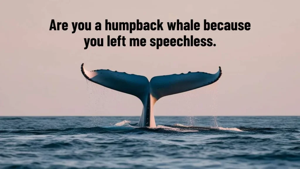 Clever Whale Pick Up Lines