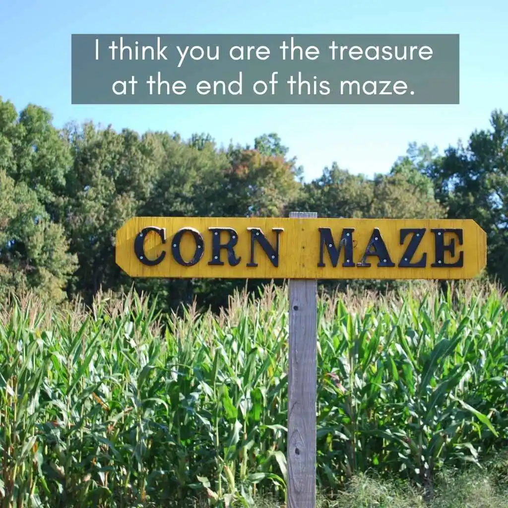 Corn Maze Pick Up Lines