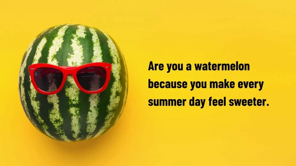 Funny Watermelon Pick Up Lines
