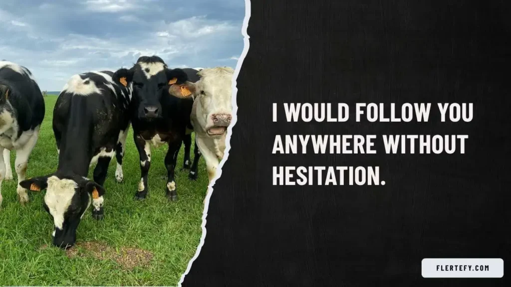 Cow Pick Up Lines For Him