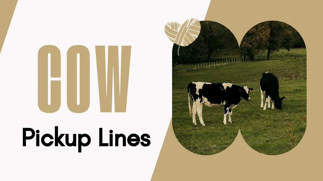 Cow Pick Up Lines