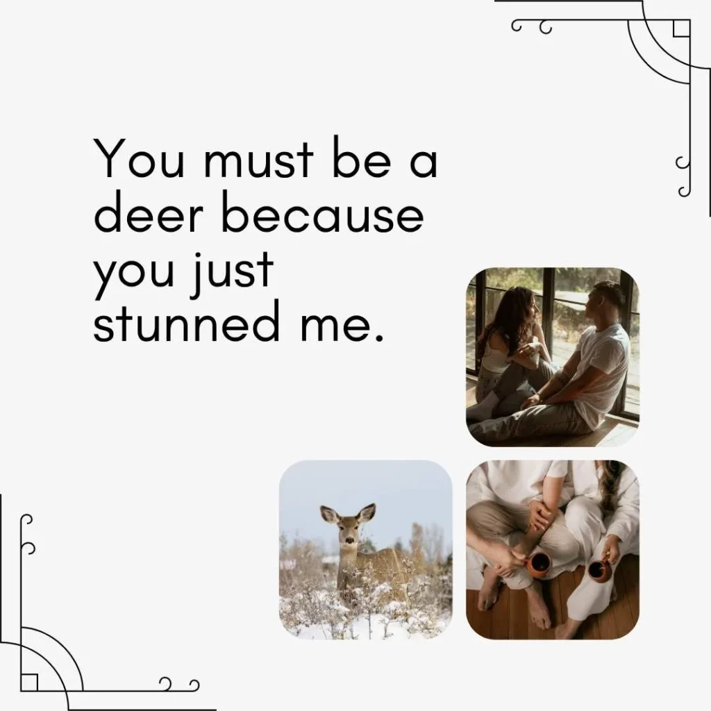Cute Animal Pick Up Lines