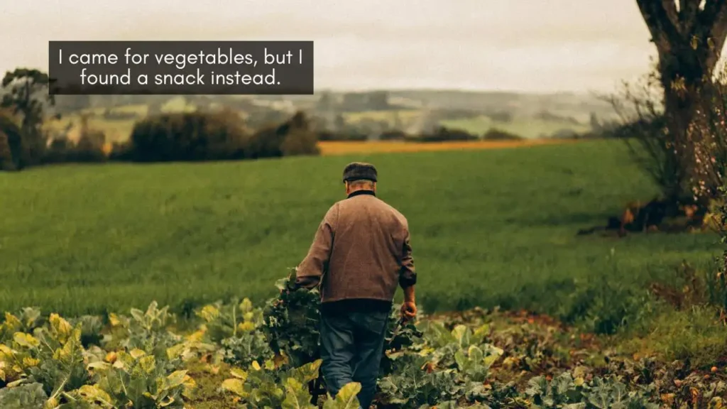 Cute Farmers Market Pick Up Lines