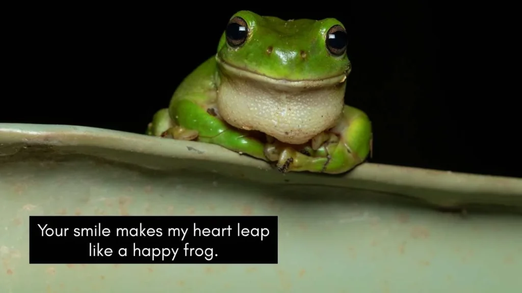 Cute Frog Pick Up Lines