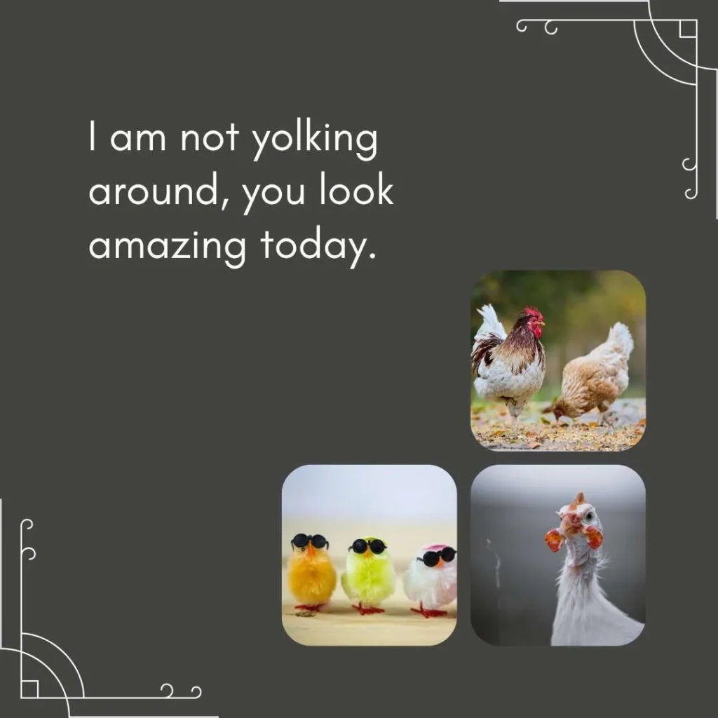 Funny Chicken Pick Up Lines