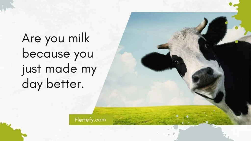 Funny Cow Pick Up Lines