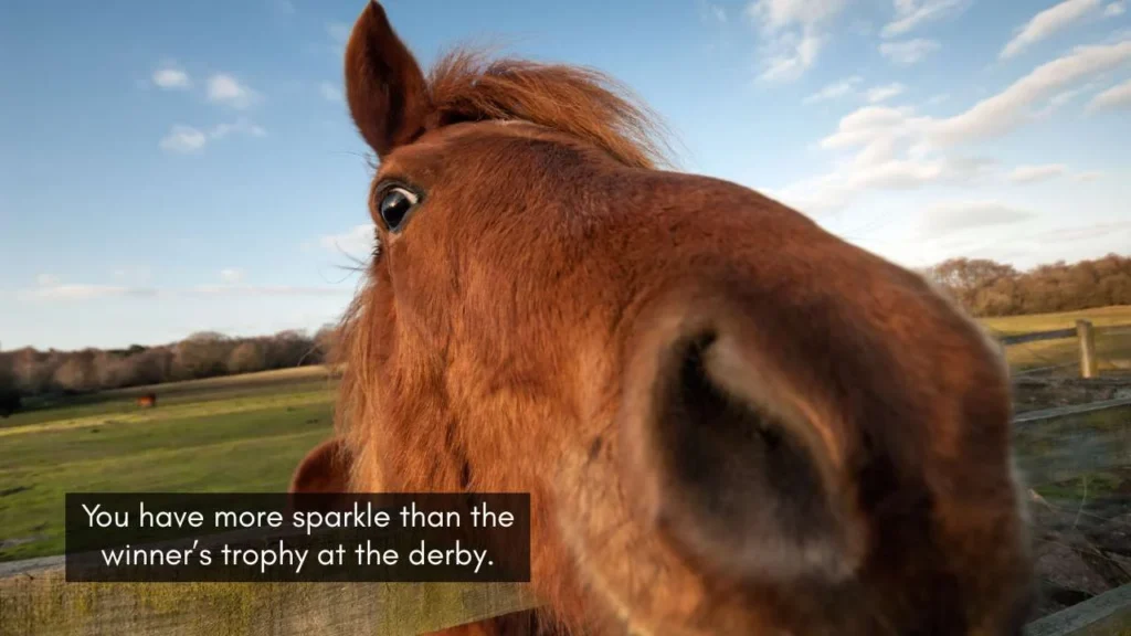 Funny Horse Racing Pick Up Lines