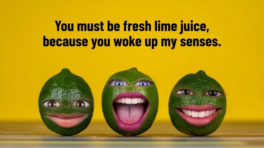 Funny Lime Pick Up Lines