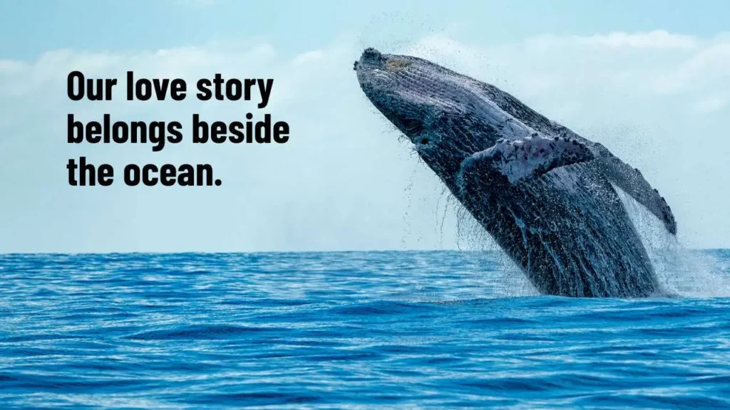 Ocean And Whale Pick Up Lines