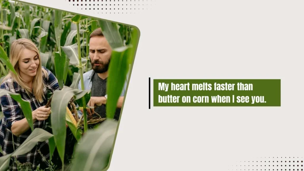 Romantic Corn Pick Up Lines