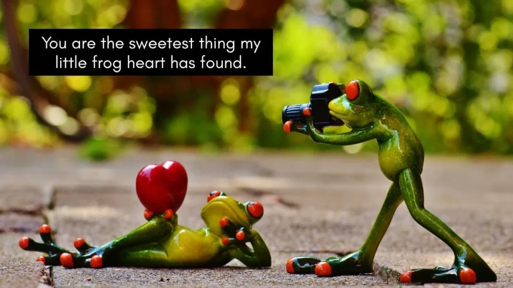 Romantic Frog Pick Up Lines