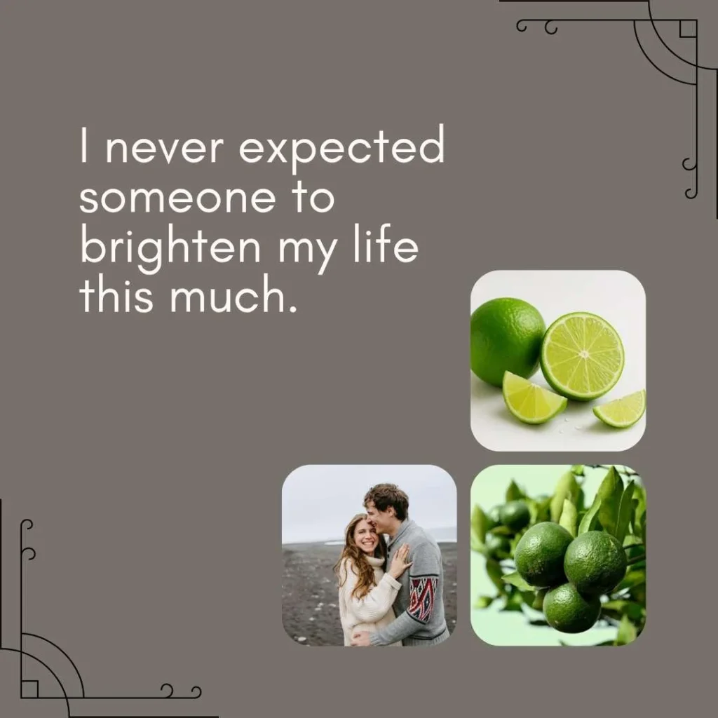 Romantic Lime Pick Up Lines