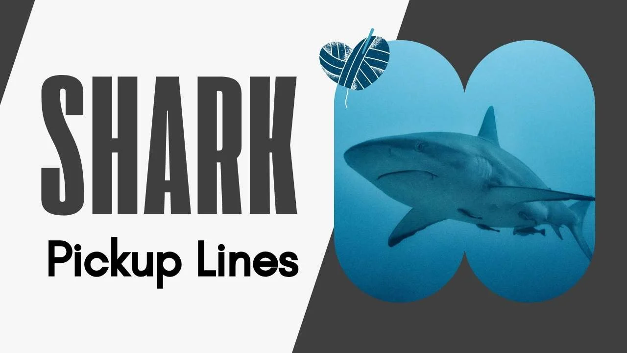 Shark Pick Up Lines