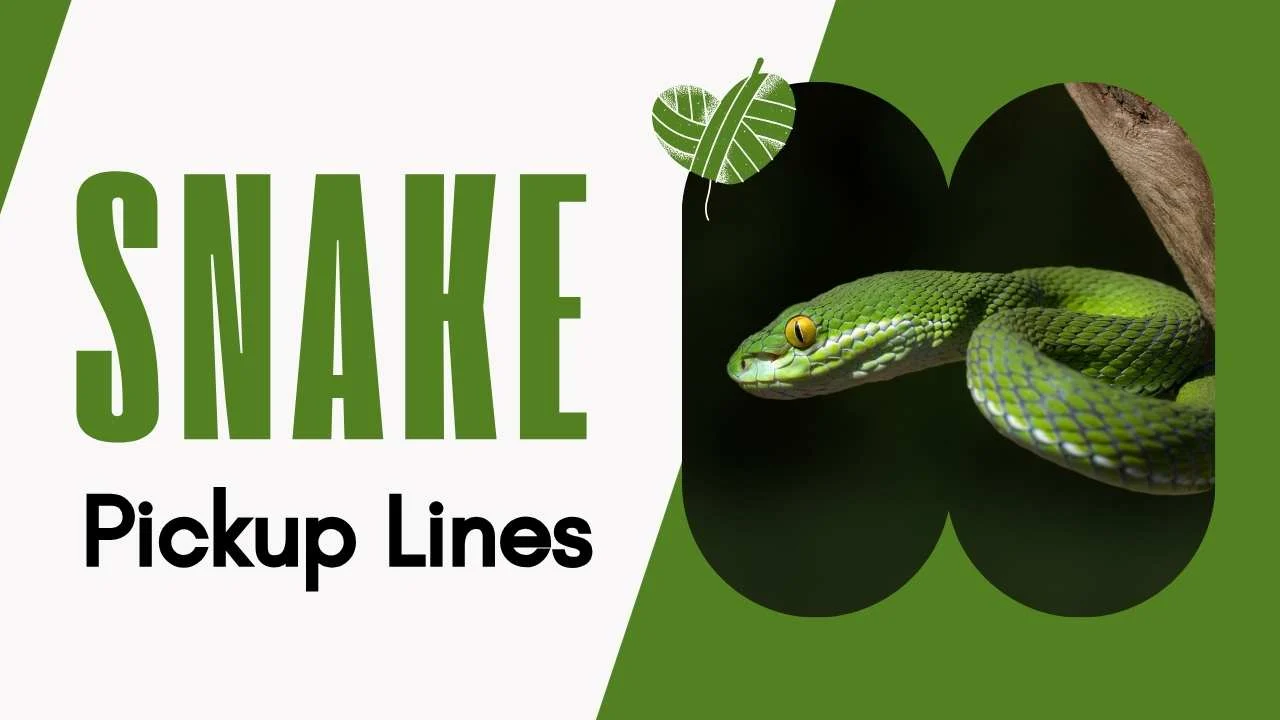 Snake Pick Up Lines