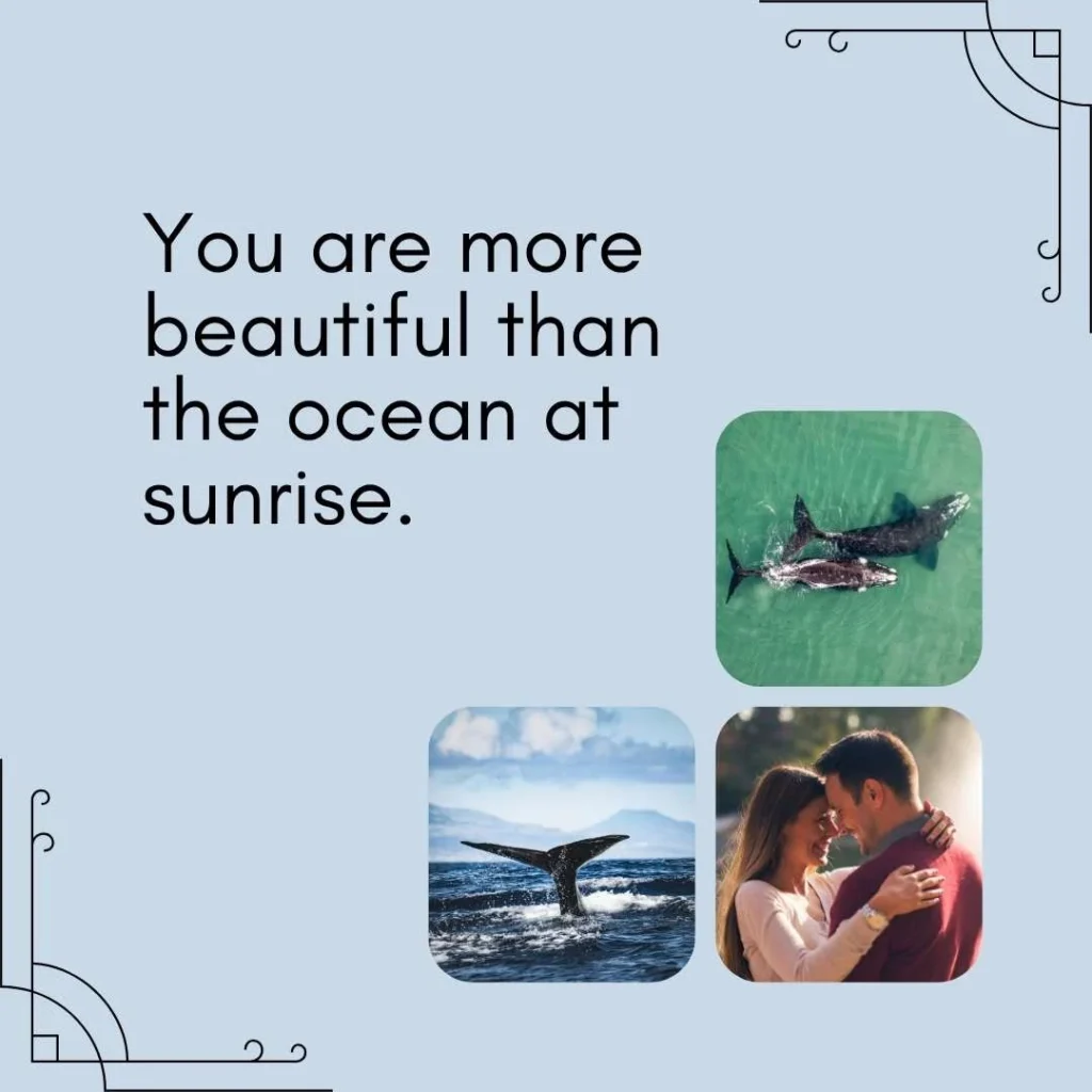Whale Pick Up Lines For Her
