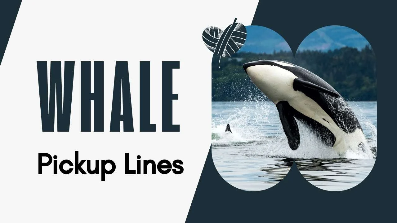 whale pick up lines