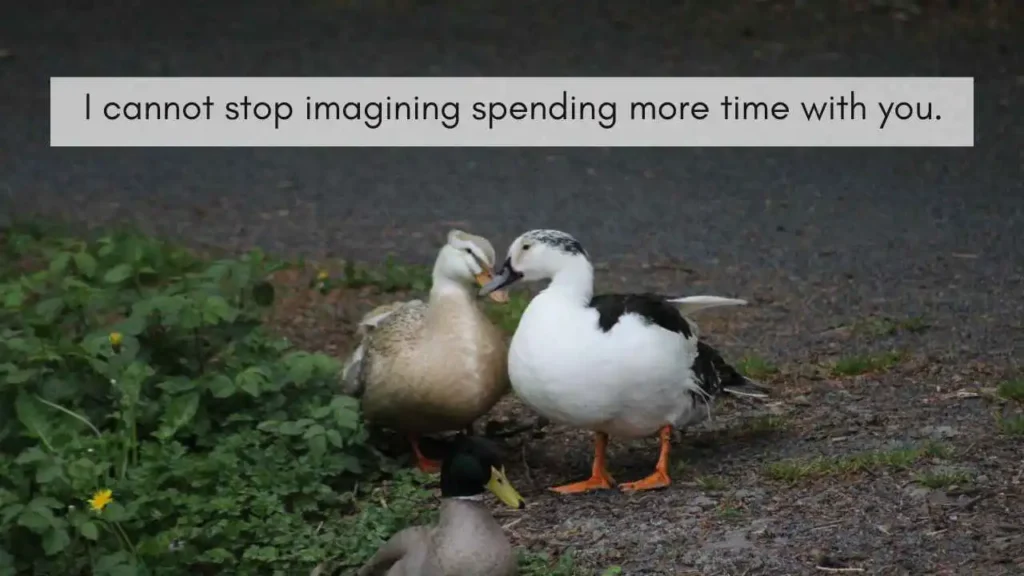 Dirty Duck Pick Up Lines