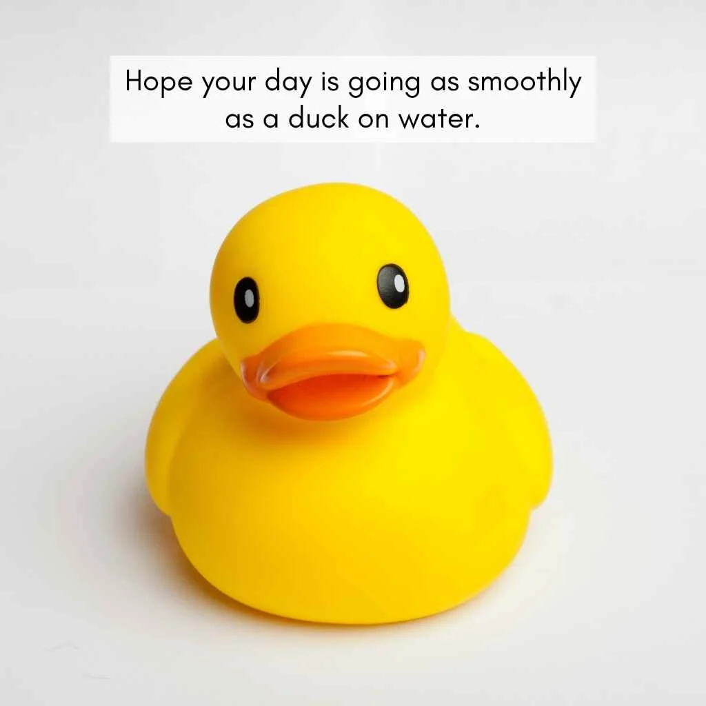 Duck Pick Up Lines For Texting