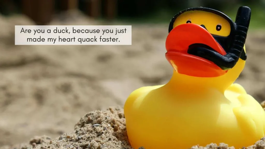 Funny Duck Pick Up Lines
