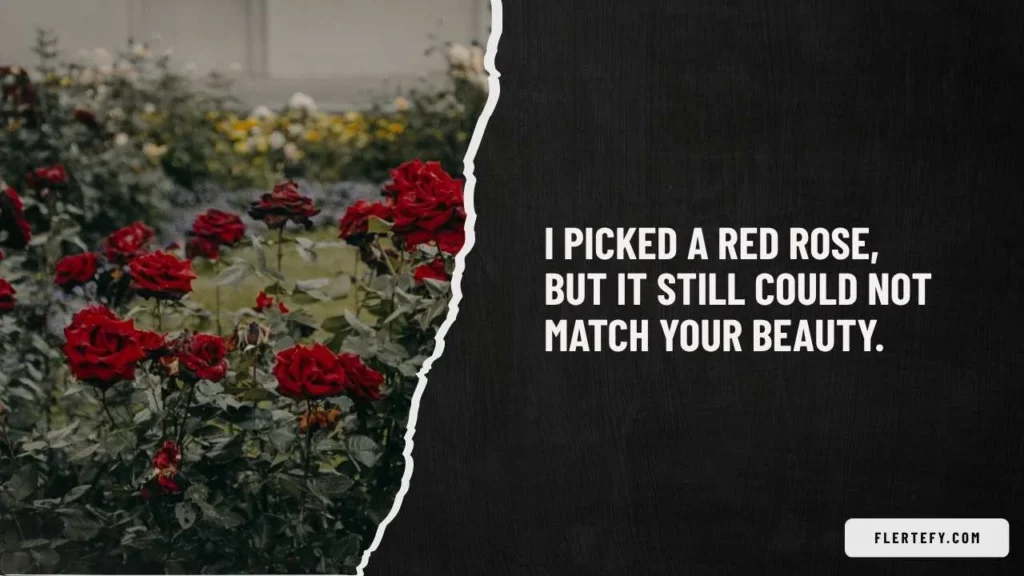 Cute Red Roses Pick Up Lines
