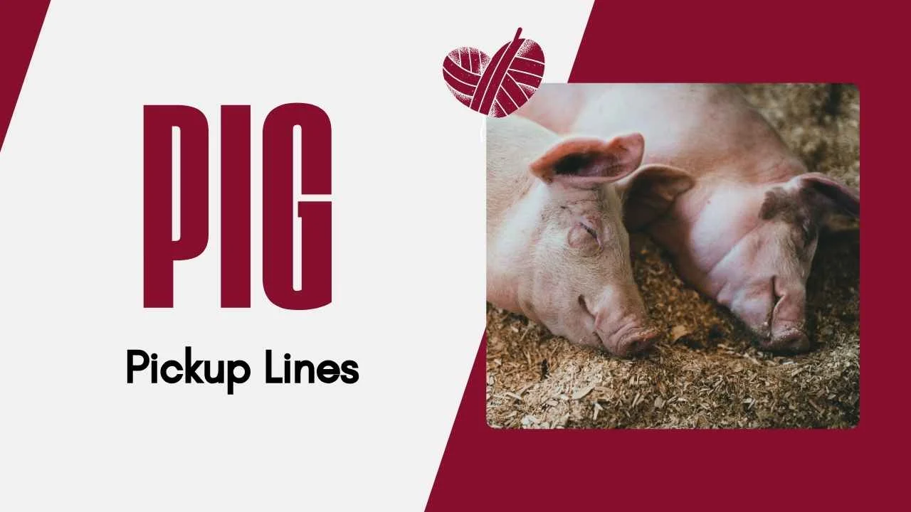 Pig Pick Up Lines