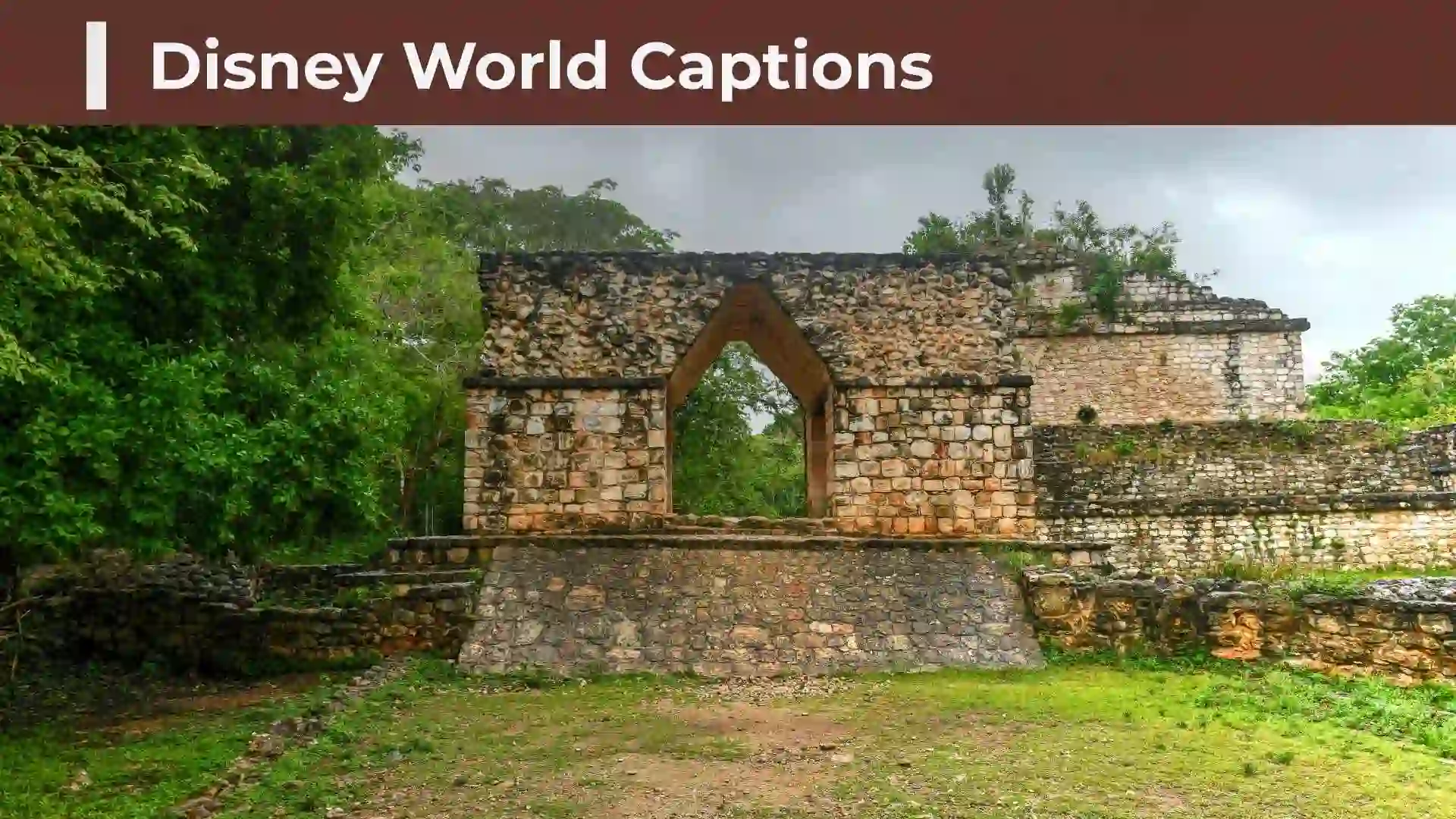 Disney World Captions: Magical, Funny, Cute & Short Ideas