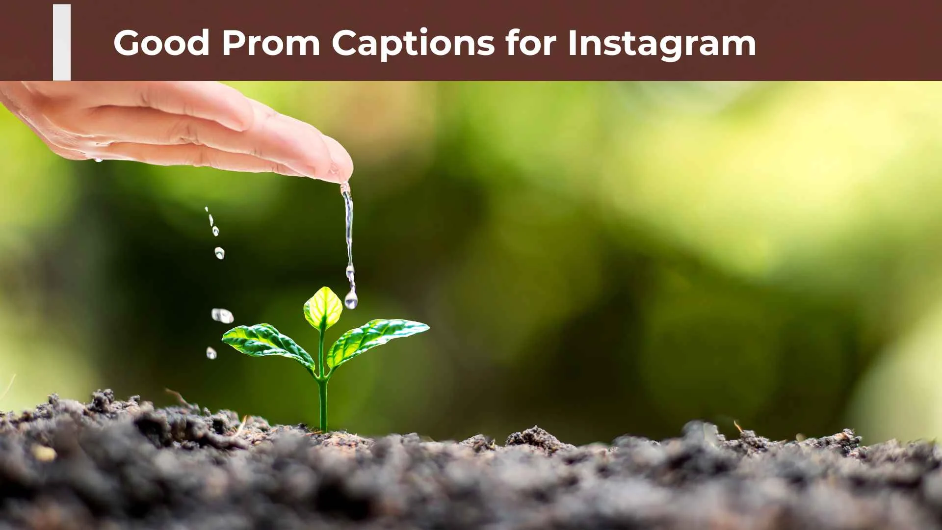 Good Prom Captions for Instagram