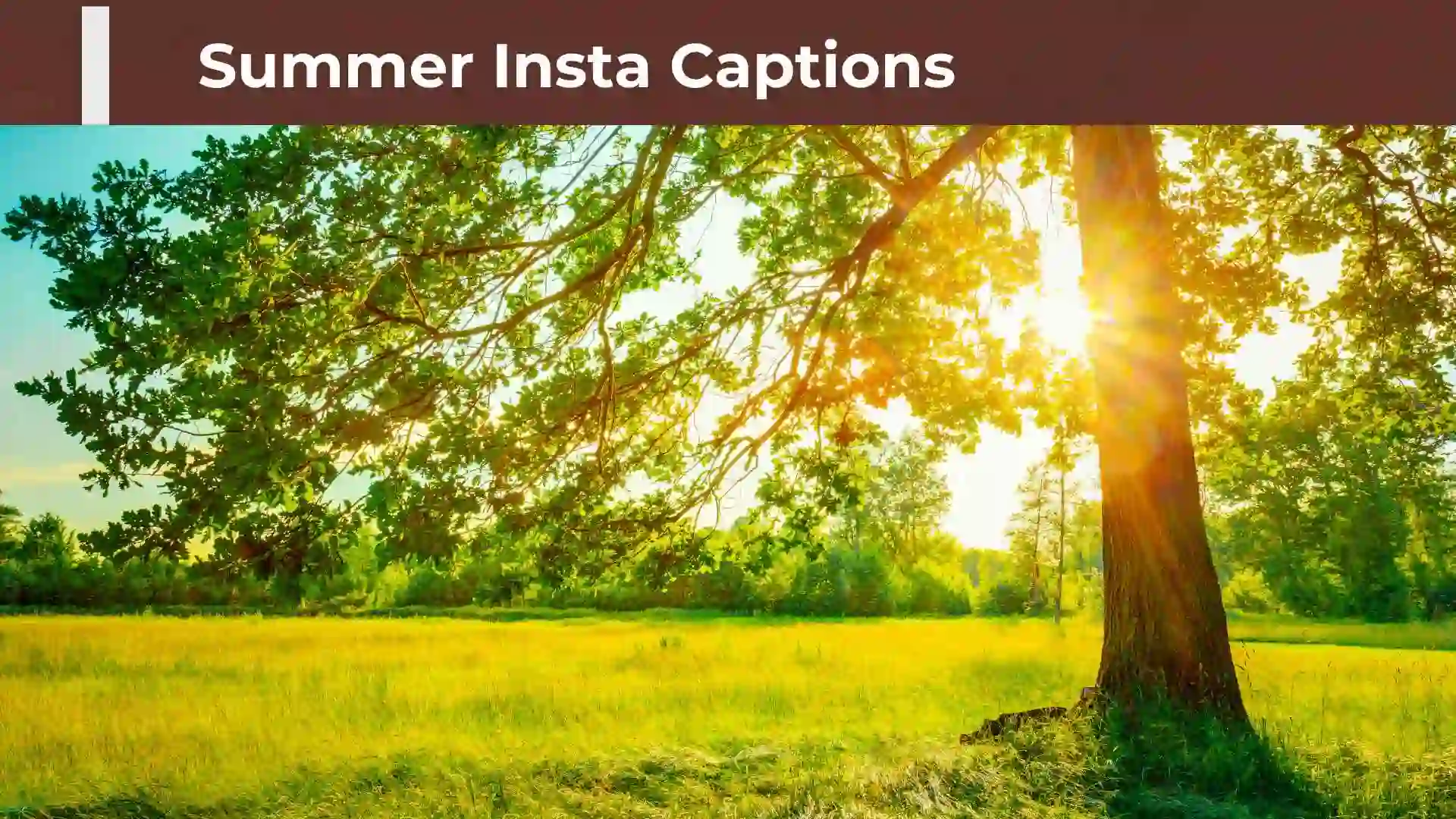 Summer Insta Captions