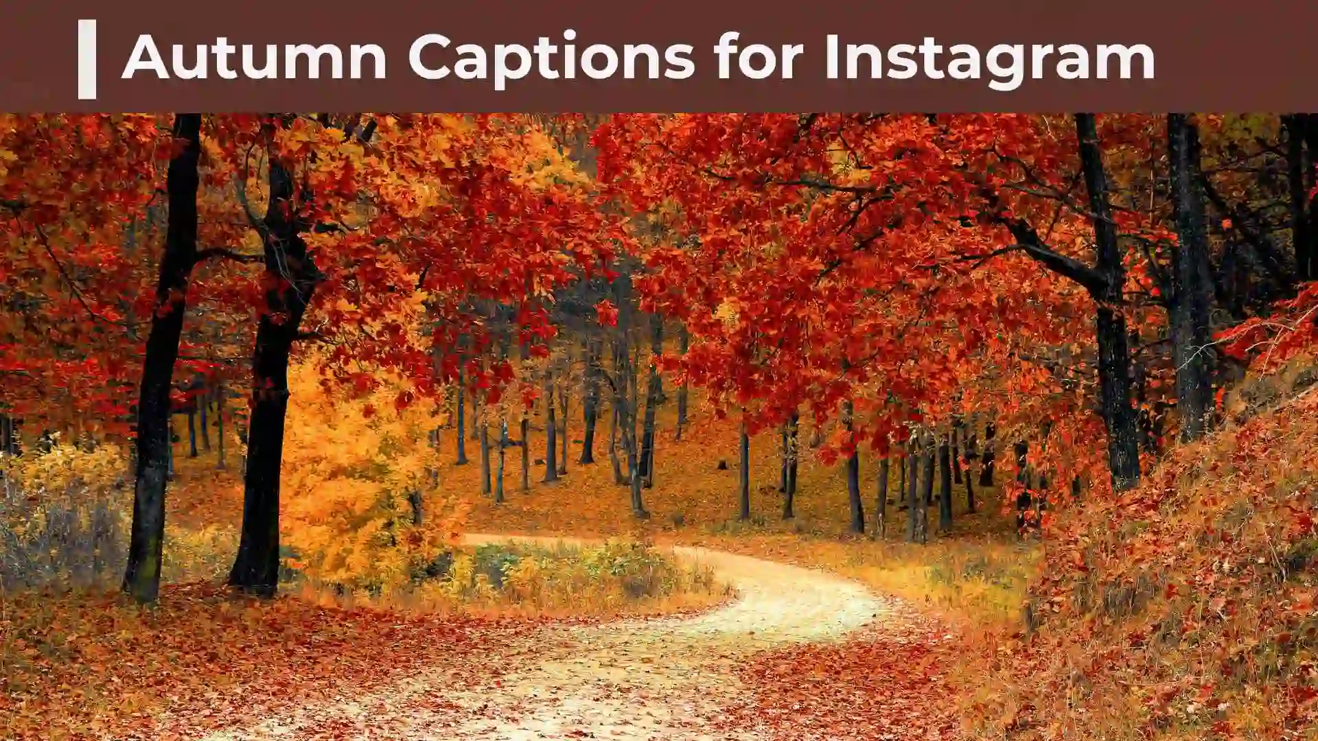 250+ Autumn Captions for Instagram: Cute, Funny, Short, and Aesthetic Ideas