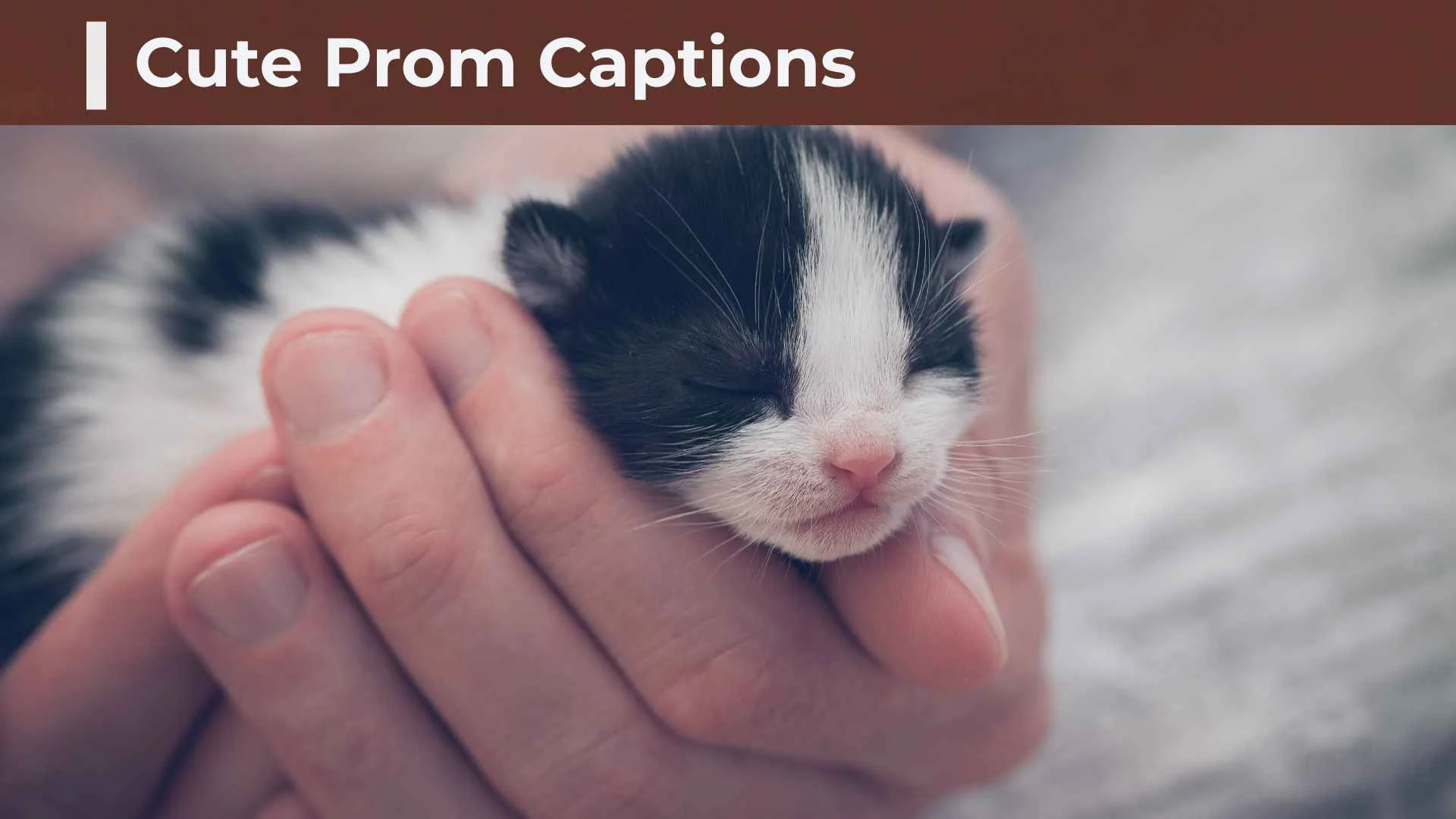 250+ Cute Prom Captions: Sweet, Short, Funny & Aesthetic Ideas