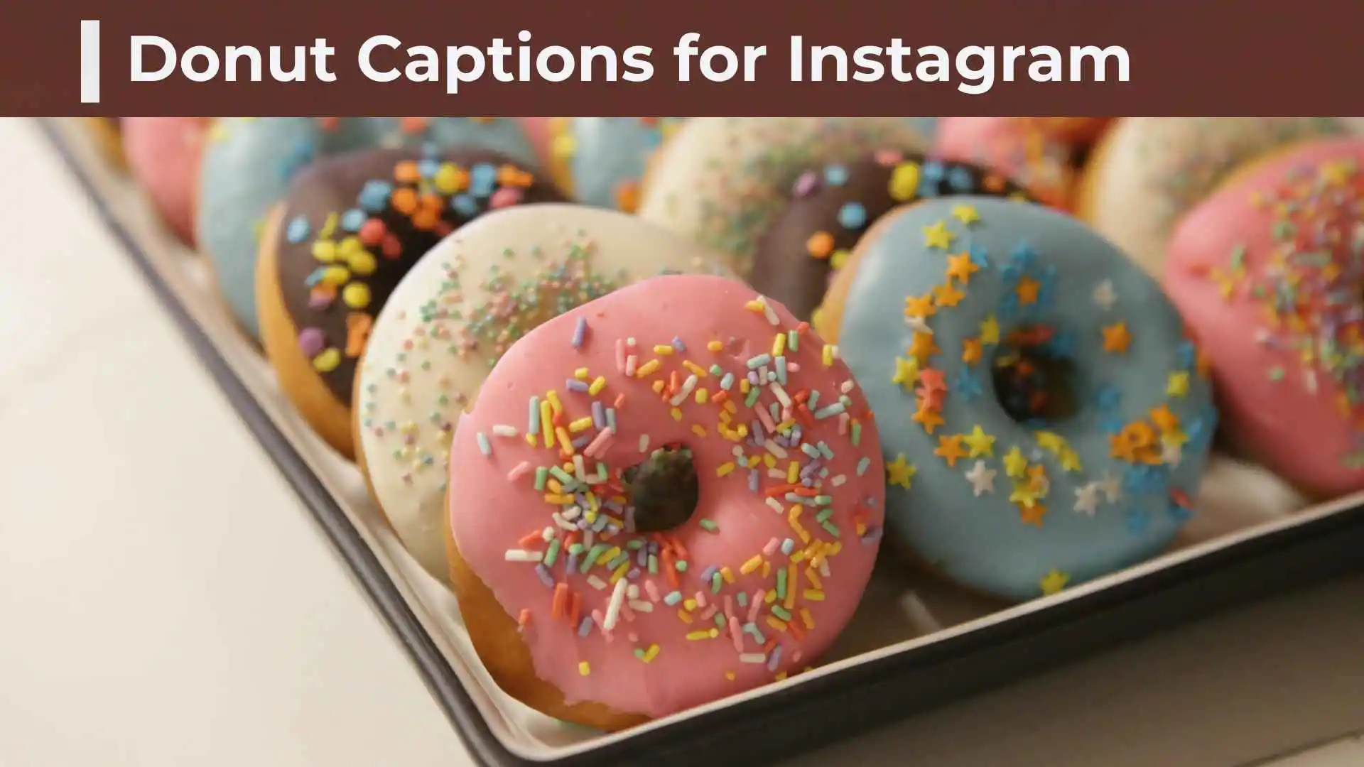 Donut Captions for Instagram