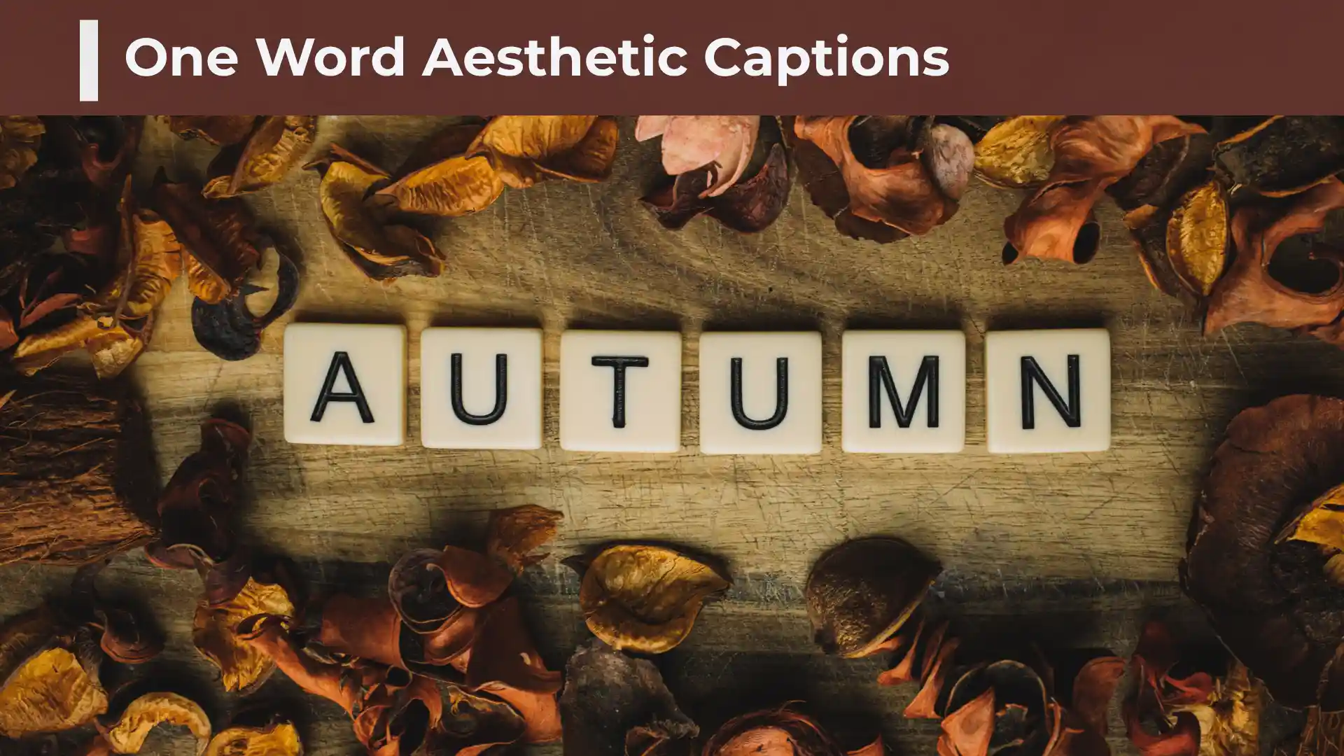 300+ One Word Aesthetic Captions for Instagram