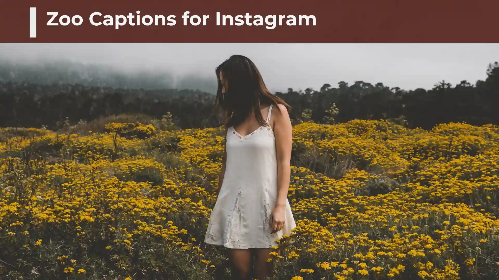 Zoo Captions for Instagram: Cute, Funny, and Wild Caption Ideas